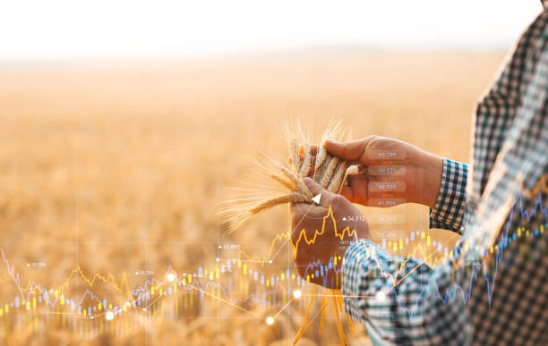 Agriculture Trading: A Complete Guide to Maximizing Profits in the Agri Market