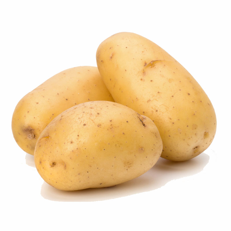 Potato